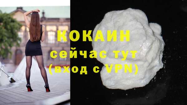 дживик Бородино