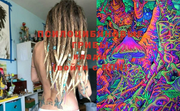 PSILOCYBIN Медногорск